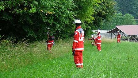 Suchkette vor dem Wald Suchkette vor dem Wald